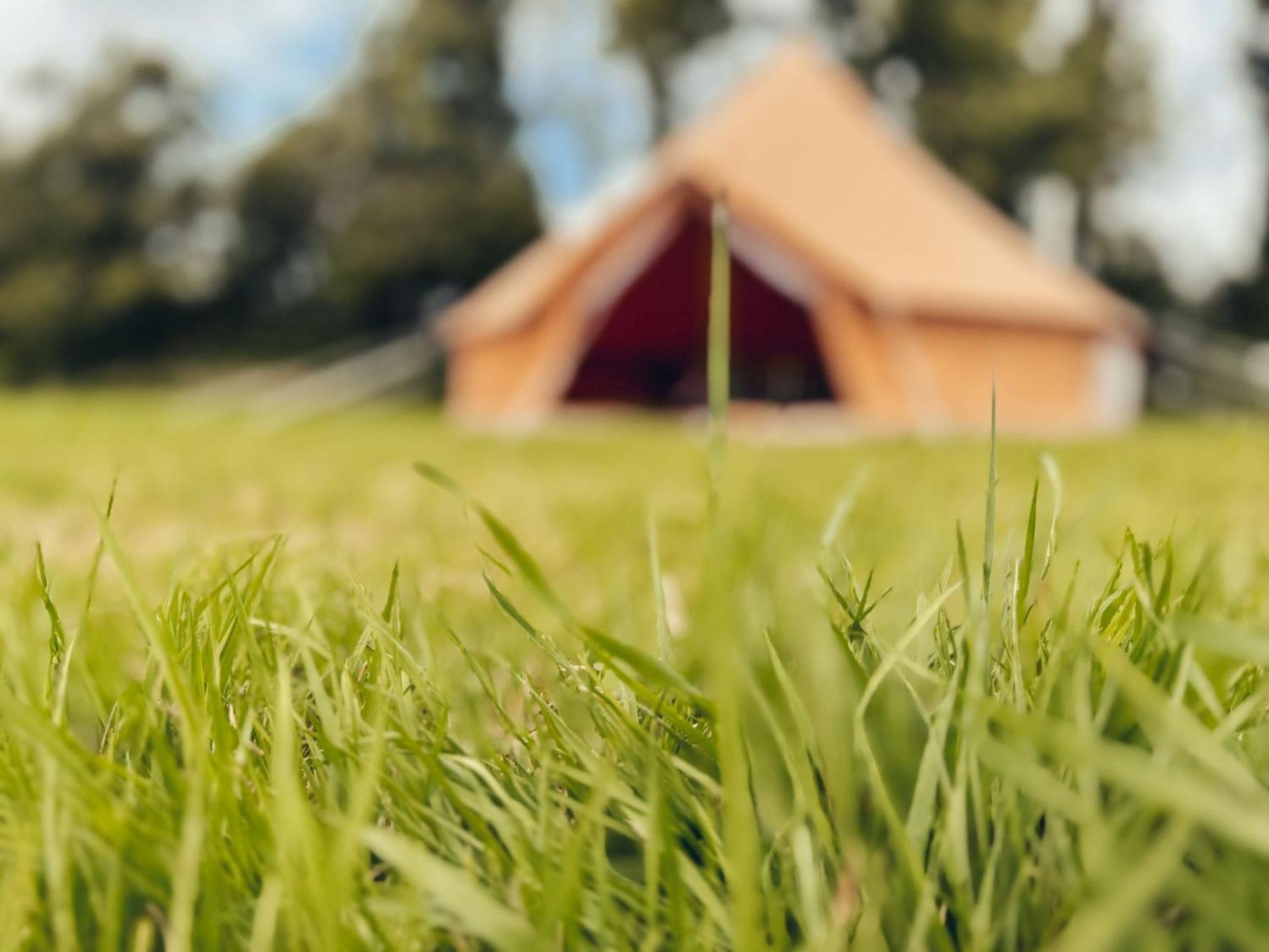 Fully Furnished Bell Tent 3 Carlyon Bay Zewnętrze zdjęcie